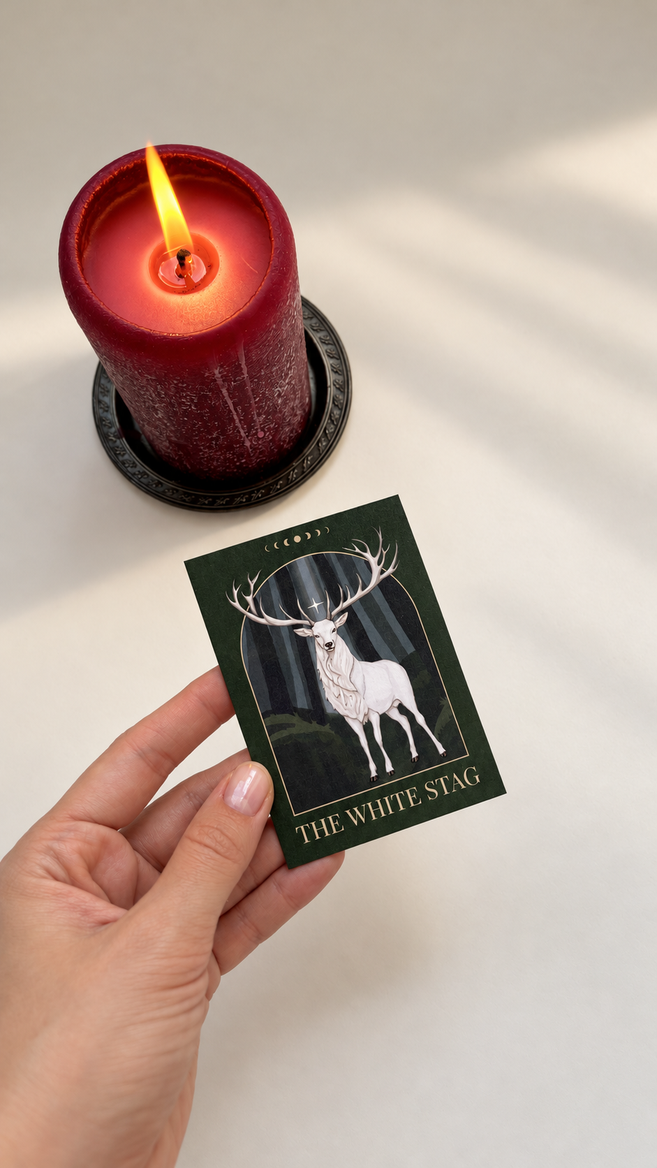 Symbols & Thoughts Mail Club – Founder's Edition (limited)